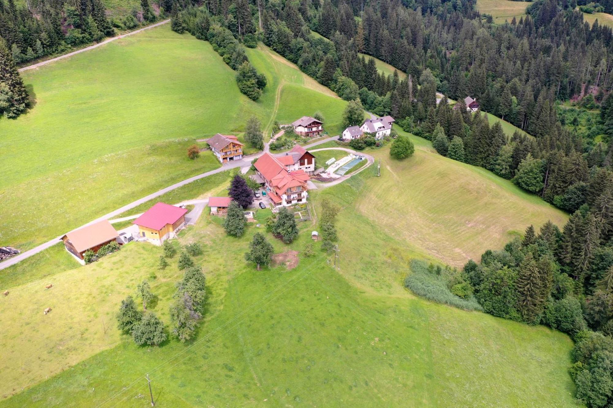 Ferienwohnung Bergbauernhof Schluder Hermagor-Pressegger See Exterior foto